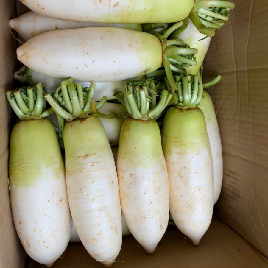 Thiết Kế Chưa Có Tên (13)