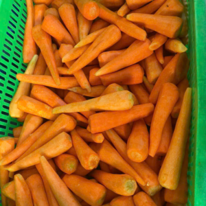 Thiết Kế Chưa Có Tên (12)