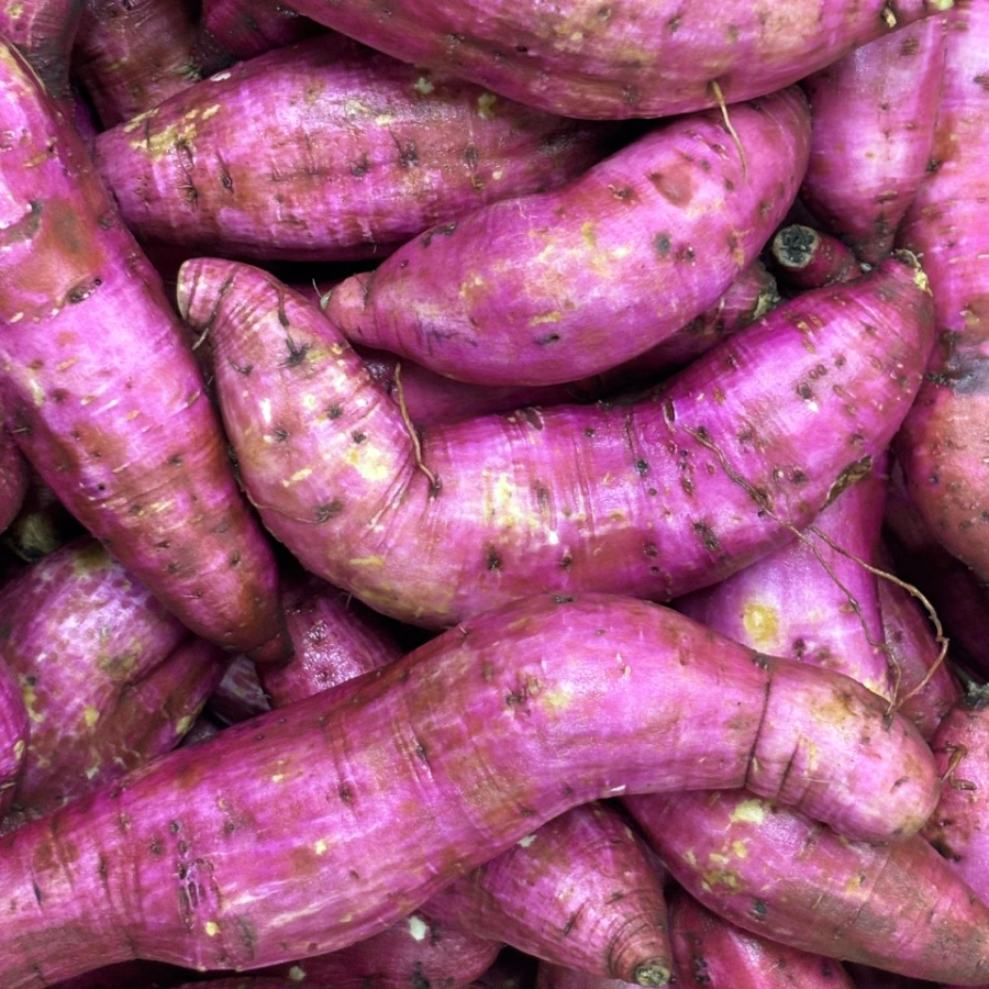 Thiết Kế Chưa Có Tên (14)