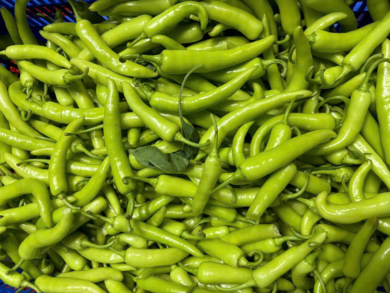 Z5924709826255 1c08292fcb434f4666fa7d8f41deccc1