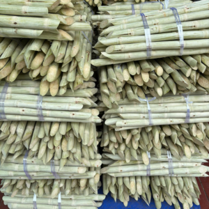 mia-xuat-khau-tay-ninh