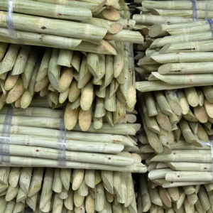 mia-xuat-khau-nauy-food